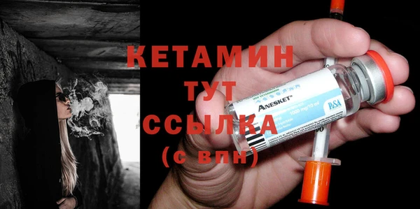 шишки Магас