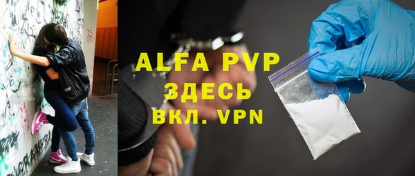 шишки Магас