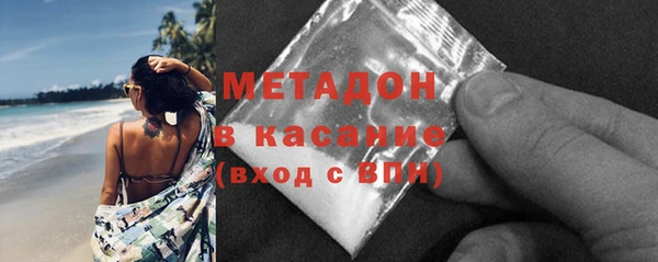 шишки Магас