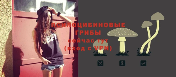 шишки Магас