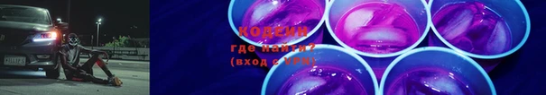 шишки Магас