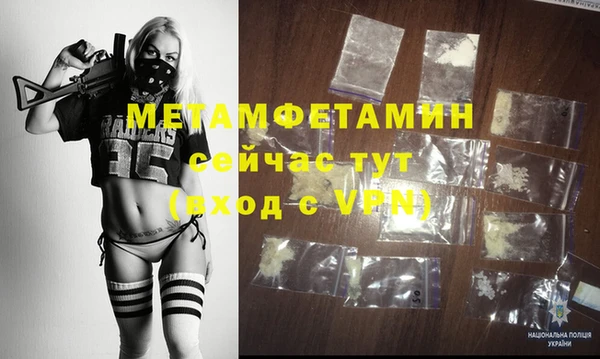 шишки Магас