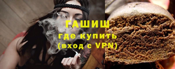 шишки Магас