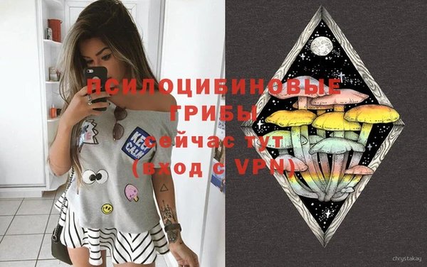 шишки Магас